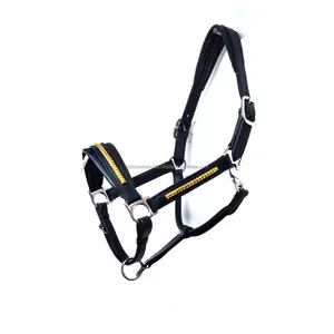 Equestrian Anatomic Soft Padded Leather Horse Halter With Clinchers