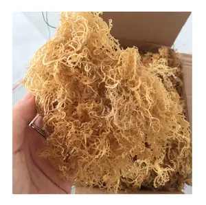 Wildcraft Organic Sun Dry Irish Sea Moss sin sal de Vietnam - Product Image 1