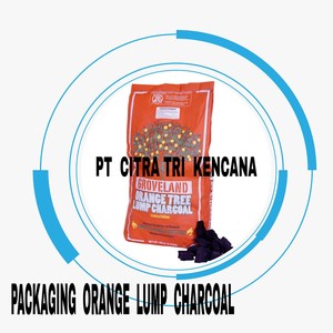 ถ่านผลไม้แท้ 100% สำหรับย่างบาร์บีคิว บรรจุภัณฑ์ซูเปอร์มาร์เก็ต ถุงบรรจุถ่าน เครื่องทำถ่านบาร์บีคิว ในเมืองอดานะ ตุรกี ยุโรป - Product Image 6