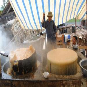 FOURNITURE BLACKSTRAP MÉLASSES/MÉLASSES LIQUIDES/MÉLASSES CANNE À SUCRE POUR L'ALIMENTATION DES ANIMAUX - Product Image 4