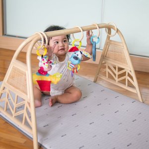 Jouet de sport en osier de rotin fait à la main du Vietnam Playgym pour bébé - Product Image 2