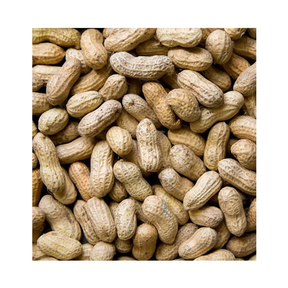 Арахис оптом. Семена арахиса. Арахис в скорлупе. Сорта арахиса. Арахис премиум.