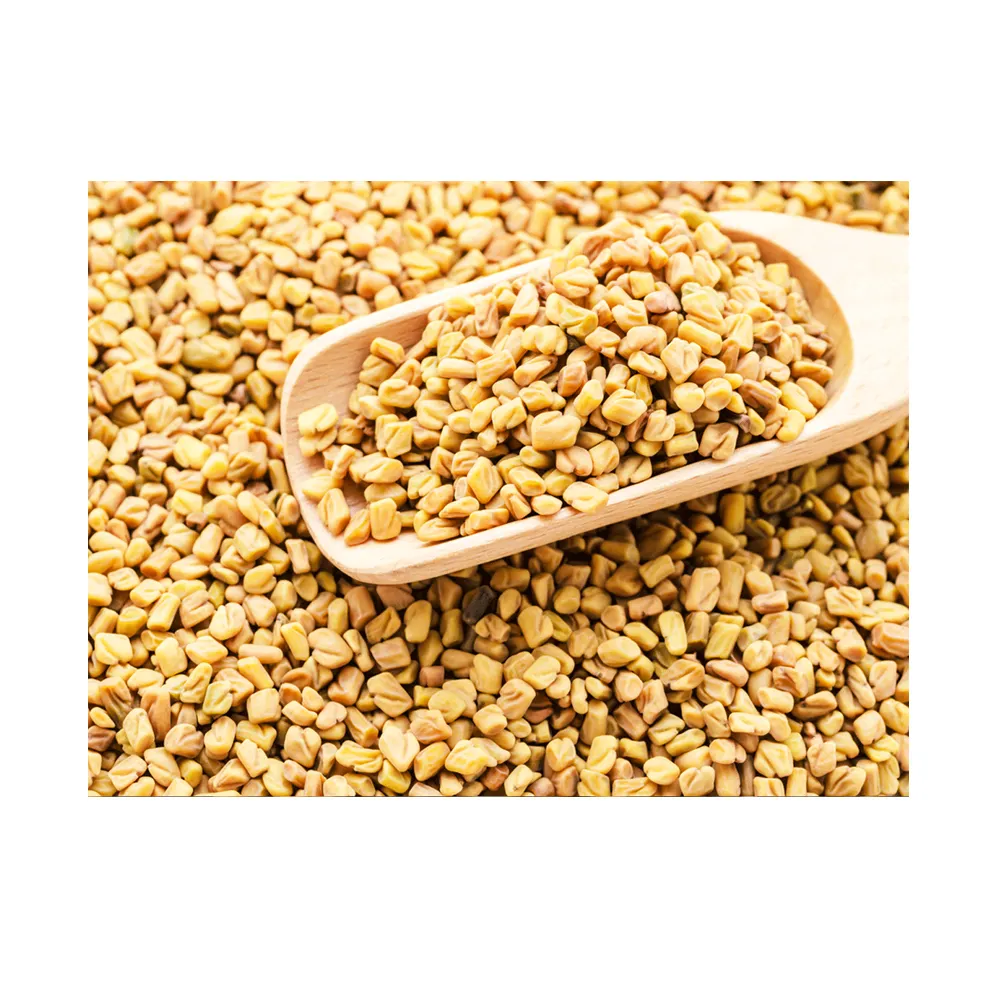 2023 Best Selling Premium Certified Grade Quality Fenugreek Seeds Manufacturer and Supplier From India
