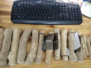 Juguete masticable de madera de café para perros-La mejor calidad de Vietnam (Sra. Shyn) - Product Image 6