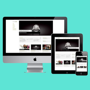 Website Development Company in India | Hire Website Developers | Award Winning Website Development Services by Webroot Infosoft - Product Image 6