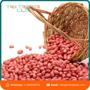 ถั่วลิสงแดงเปลือกแดงคุณภาพสูงเกรดพรีเมียม อบแห้ง บรรจุสุญญากาศจากสหรัฐอเมริกา - Product Image 4