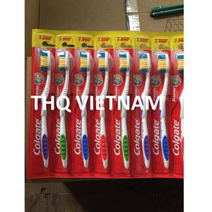 [THQvn] Cepillo de Dientes COLGATE Premierr Classic Clean, 12 Unidades * 24 Paquetes - Product Image 1