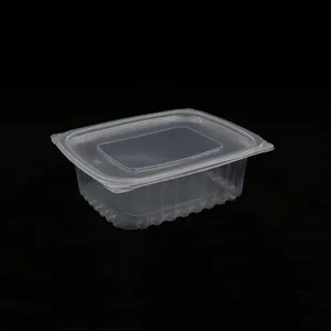 Plastic Package Box Manufacture Rectangular Clear Plastic Transparent To Go Containers Food Disposable