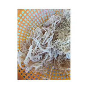 Moss de mar/Irish Moss 99 dorado, marca de datos de vietnam, precio barato - Product Image 1