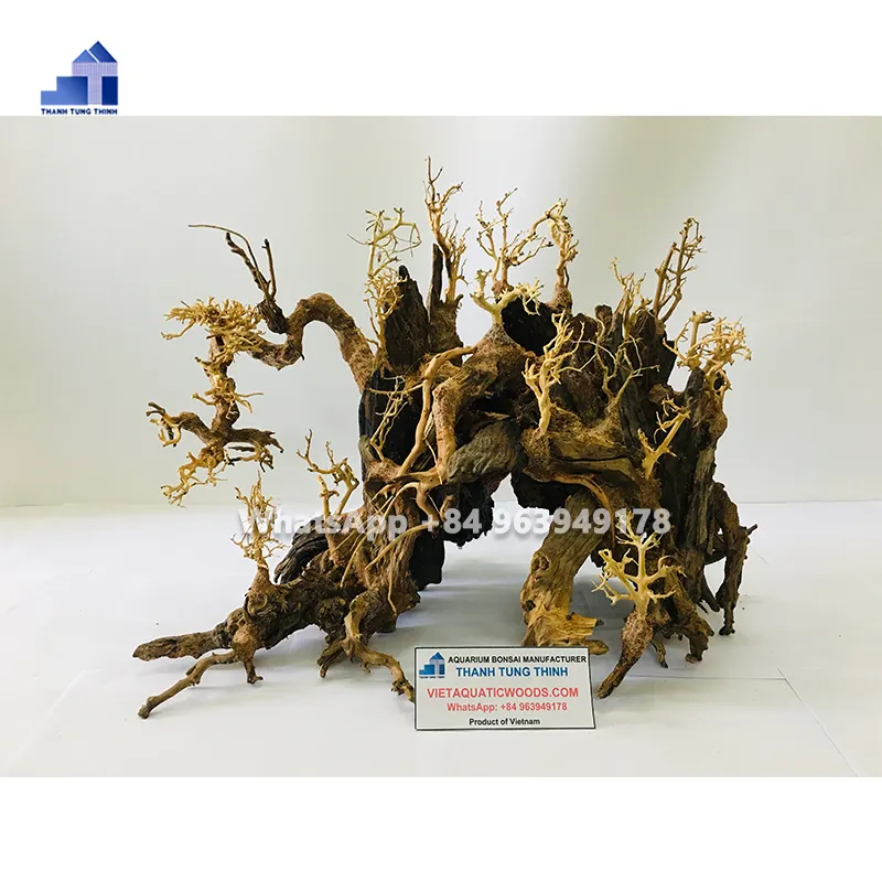 Wholesale bonsai driftwood for aquarium decorations aquariums equipments 2023 WhatsApp: +84 961005832