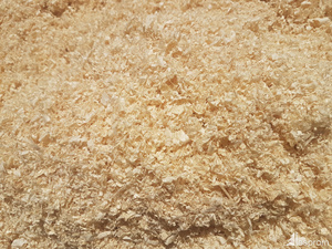 Prix très compétitif : Fournisseur de sciure de bois en vrac, biomasse industrielle, combustible, sciure de bois / blocs de sciure de bois - Product Image 2