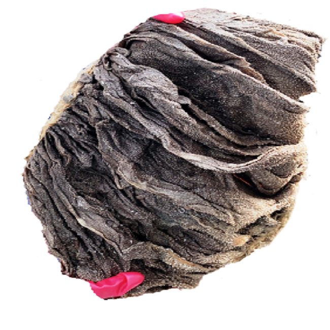 Соленые и сушеные замороженные и свежие омасумы/говяжье мясо омасум, высокое качество омасум/омасум поставщики из Франции