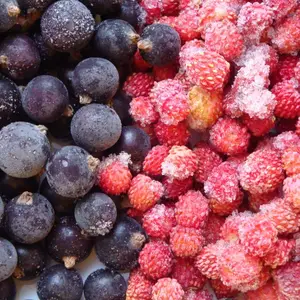 Blueberry Vruchten Bevroren Bosbessen Iqf Bosbessen Hele Bevroren Vruchten