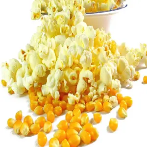 Bulk IQF Frozen Sweet Corn Yellow Corn Kernels/ Natural Thailand Yellow Dried Maize/Corn