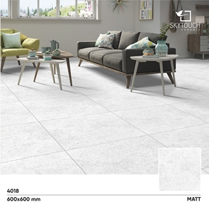 Gujarat India meilleure qualité 600x600mm carreaux de sol rustiques mats 60x60/2x2 carreaux modernes gris clair mat pour l'extérieur - Product Image 2