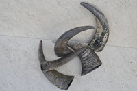 Corne de buffle brute NOORBABA Inde, style nautique animalier, matériau organique, taille personnalisée, objet d'art de collection
