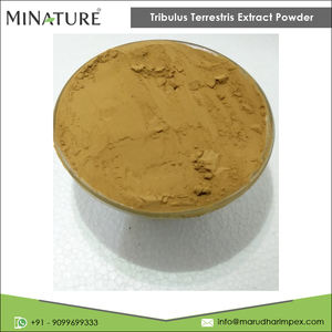 Tribulus Terrestris 100% puro y Natural, extracto en polvo de fabricante de alta calidad - Product Image 2