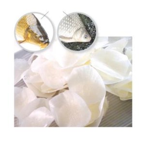 เวียดนามปลาเครื่องชั่งน้ำหนักสารสกัดจากคอลลาเจนที่มีคุณภาพที่ดีที่สุด - Product Image 1