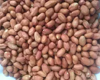 Compre a pele vermelha hps cordeiro de nozes peanut pigmento de proteína ricas peanuts fábrica atacado alta qualidade