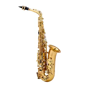 High End Saxophone Alto Woodwind Instrument