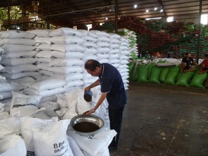 Pimienta de Vietnam de Alta Calidad, Aroma Intenso, Alto Contenido de Piperina, Estándar Europeo para Procesamiento de Alimentos y Uso Industrial, Exportación Popular - Product Image 5