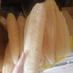 Éponge de loofah entière séchée écologique du Vietnam - Éponge naturelle sans plastique pour le bain, le spa et la cuisine - Product Image 6