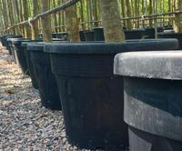 Pot Pembibitan 160 Liter