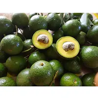 Вьетнамский стенд для свежих фруктов, авокадо, высокое качество (OrSaFood)