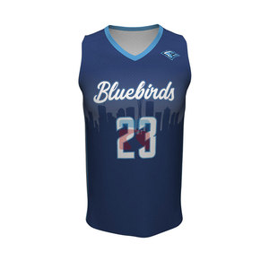 Custom Design Sublimated Twill Embroidered Classic Jersey Retro Basketball Jersey | Custom Stitched Basketball Jersey - Product Image 4