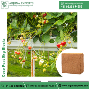 Turba de coco de calidad garantizada o bloques de 5kg de coco a precio de mercado competitivo - Product Image 6