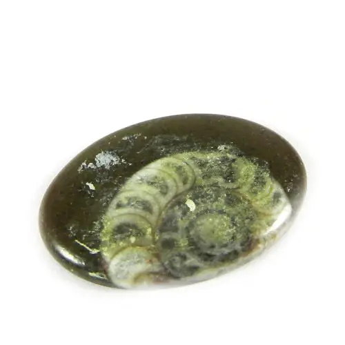 Natural Brown ammonite Oval Cabochon 25x18mm