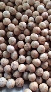 COCO SEMI-DESHUESADO SECO - Product Image 4