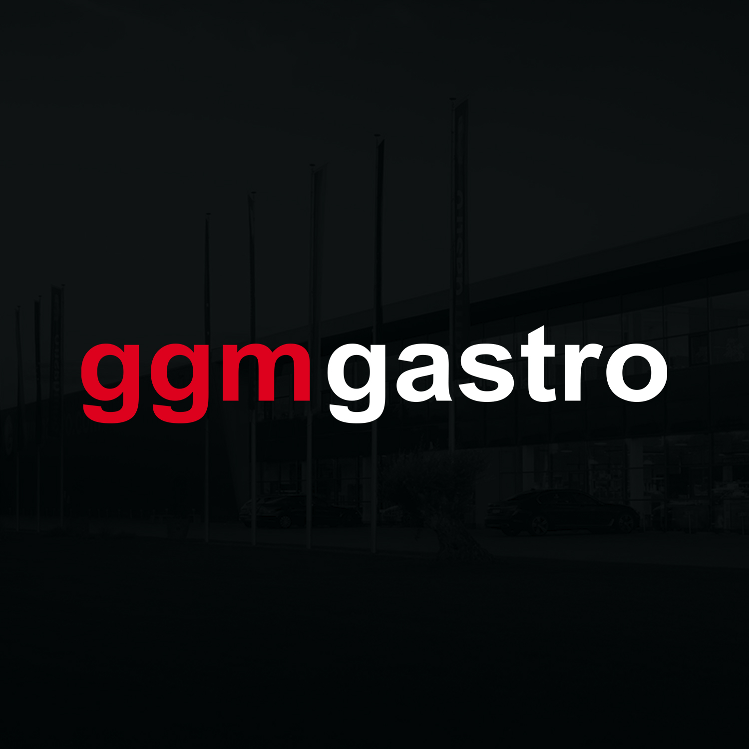 GGM Gastro International GmbH logo
