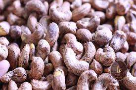 Résidus de coques de noix de cajou en gros - Product Image 6