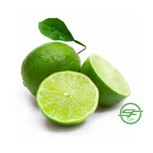 Lemon Organik Grosir Harga Murah