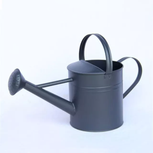 Arrosoir automatique de haute qualité en métal, Pot d'arrosage décoratif pour la maison et le jardin, finition chromée avec pichet bleu - Product Image 4