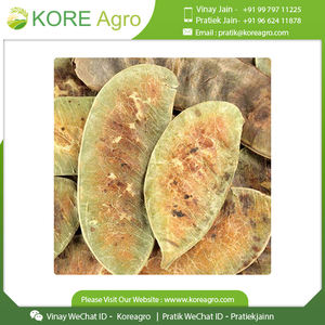 Senna Pods 100% puro y Natural, calidad Superior, venta al por mayor, precio asequible - Product Image 3