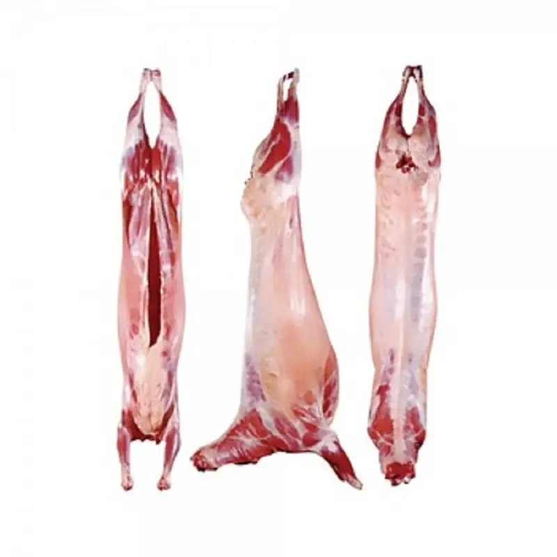 Congelati Carne di Agnello/Senza Pelle Tutta La Carne di Agnello Halal Congelato Carcasse