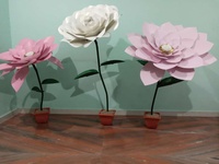 Fleurs en papier découpées en plusieurs couleurs pour l'art et l'artisanat, l'artisanat pour enfants, le scrapbooking