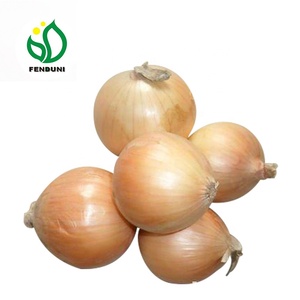 Trung Quốc Xuất Khẩu Tươi Giá Vàng Hành Tây Cho Người Mua Và Nhập Khẩu Bán Buôn - Product Image 3