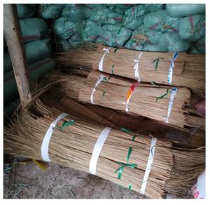 Venta al por Mayor de Palos de Escoba de Coco - Venta de Palos de Hoja de Coco - Proveedor de Materia Prima para Escoba de Coco [Ws0084587176063] - Product Image 3