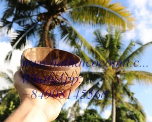 Cuenco de coco natural de alta calidad, cuenco de cáscara de coco, precio competitivo, venta al por mayor - Product Image 5