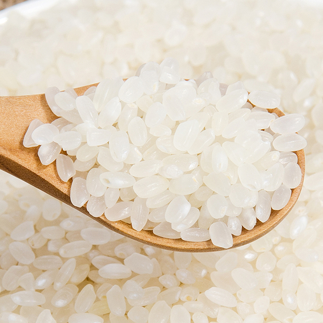 WHOLESALE VIETNAM CALROSE RICE WITH BROKEN 3% 2022