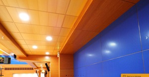 Paneles acústicos de madera de alta calidad para pared y techo para mejora acústica - Product Image 4