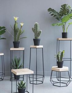 Soporte para maceta de forma redonda de Metal recubierto en polvo, suministros de jardín directos de fabricación, a buen precio - Product Image 1