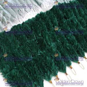 Uniforme ceremonial Pluma de calidad fina Hackles OEM Servicio Diseño Pluma Hackle | Proveedores de Hackle de seguridad hechos a medida - Product Image 4