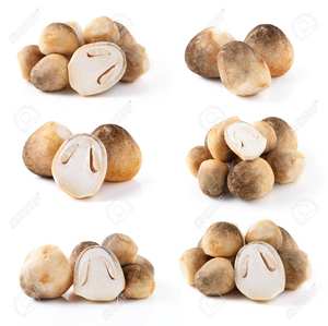 Frai de champignon de paille - Product Image 2