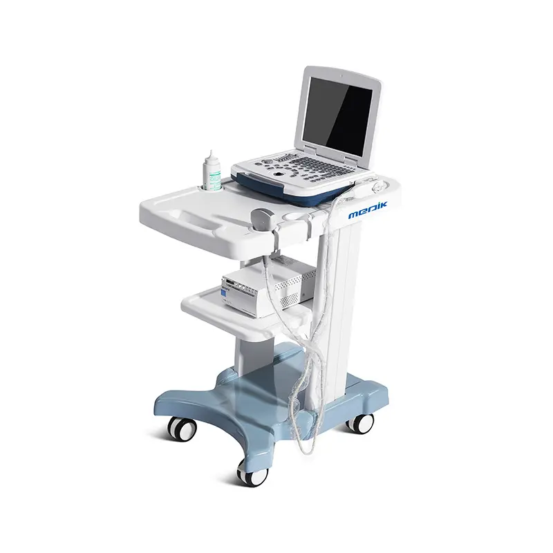 Chariot mobile d'ordinateur portable de chariot d'ultrason de poste de travail d'hôpital médical de laboratoire industriel