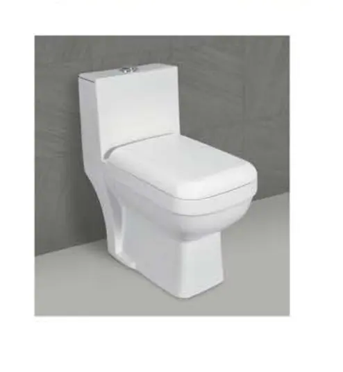 यूरोपा सफेद सिरेमिक एक टुकड़ा शौचालय पानी कोठरी