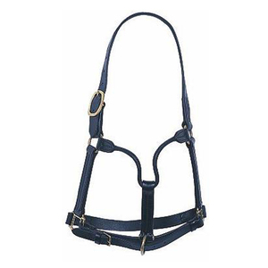 English & Western Saddle Horse Leather <b>Halter</b> with Brass Buckle Nylon & PP Accessory Fitting for Horse Rugs - Product Image 1